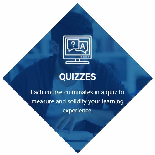 quizzez-polaris